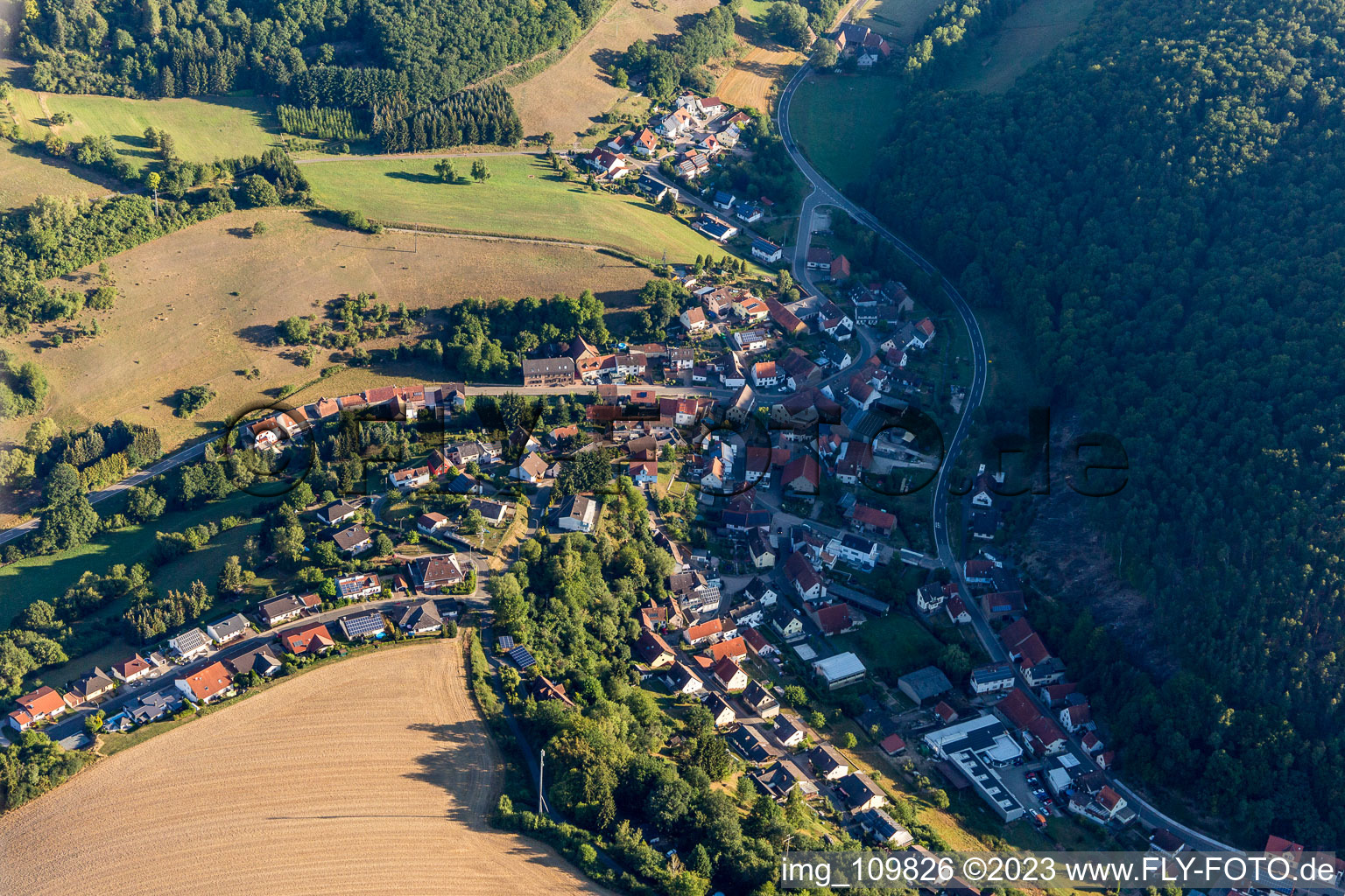 Photographie aérienne de Gehrweiler dans le département Rhénanie-Palatinat, Allemagne