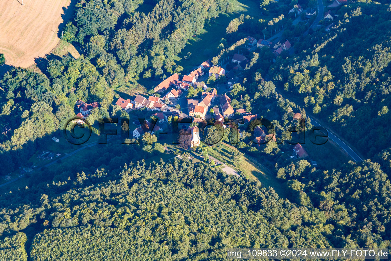 Vue aérienne de Reichsthal dans le département Rhénanie-Palatinat, Allemagne