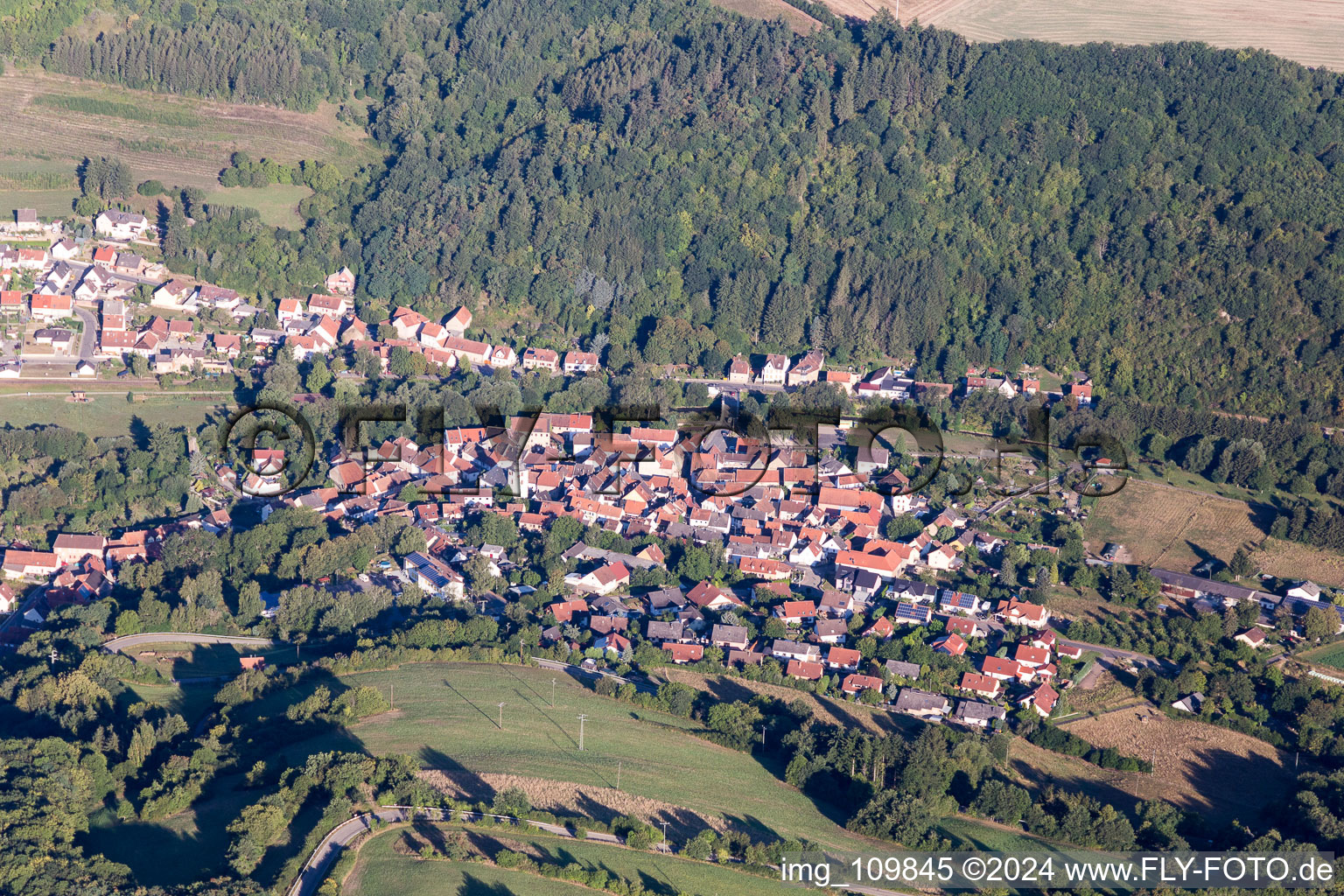 Vue aérienne de Des zones forestières et des zones forestières entourent la zone d'habitation du village à Odenbach dans le département Rhénanie-Palatinat, Allemagne
