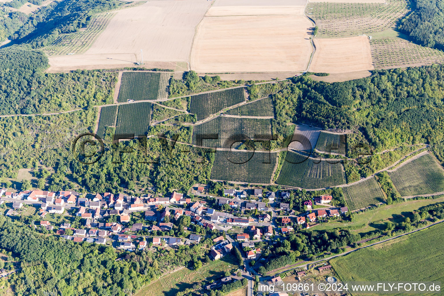 Vue aérienne de Raumbach dans le département Rhénanie-Palatinat, Allemagne