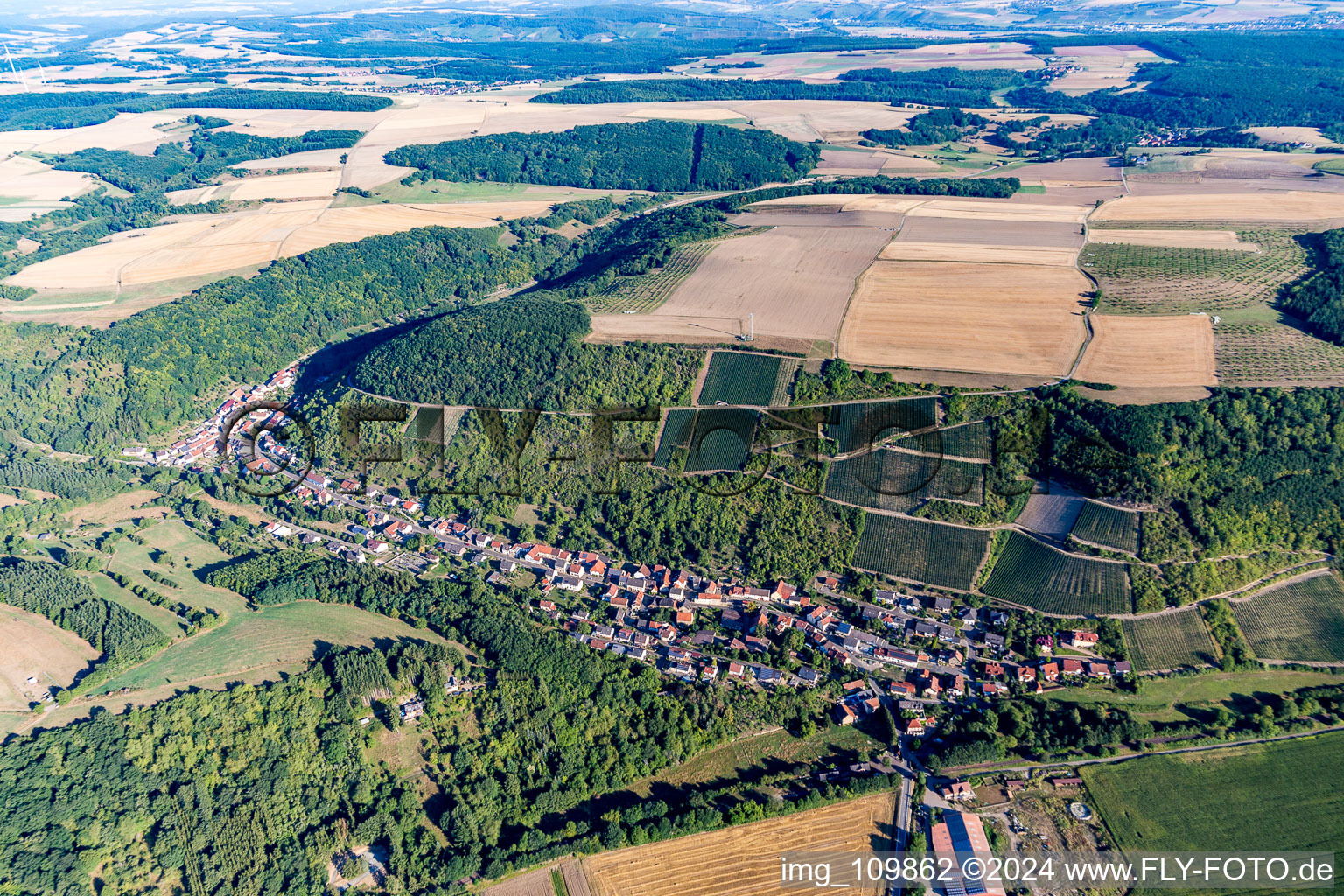 Vue aérienne de Vignobles en bordure du village à Raumbach dans le département Rhénanie-Palatinat, Allemagne