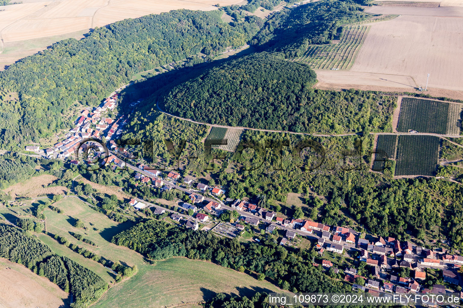 Vue aérienne de Raumbach dans le département Rhénanie-Palatinat, Allemagne