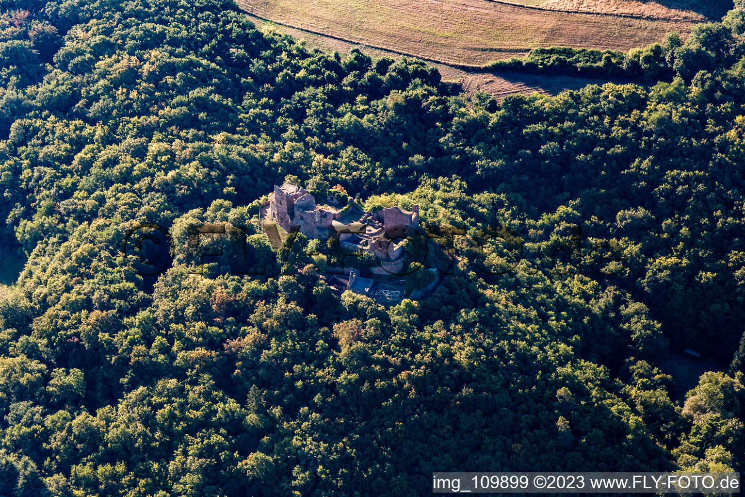 Vue aérienne de Ruines du château de Montfort à Hallgarten dans le département Rhénanie-Palatinat, Allemagne