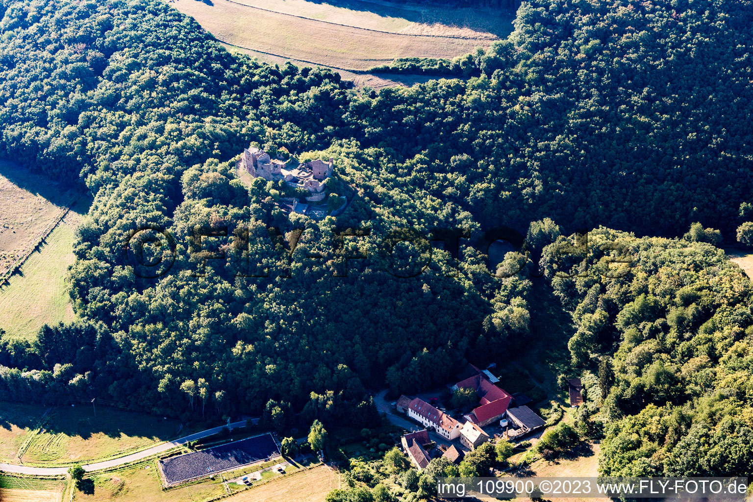 Vue aérienne de Ruines du château de Montfort à Hallgarten dans le département Rhénanie-Palatinat, Allemagne