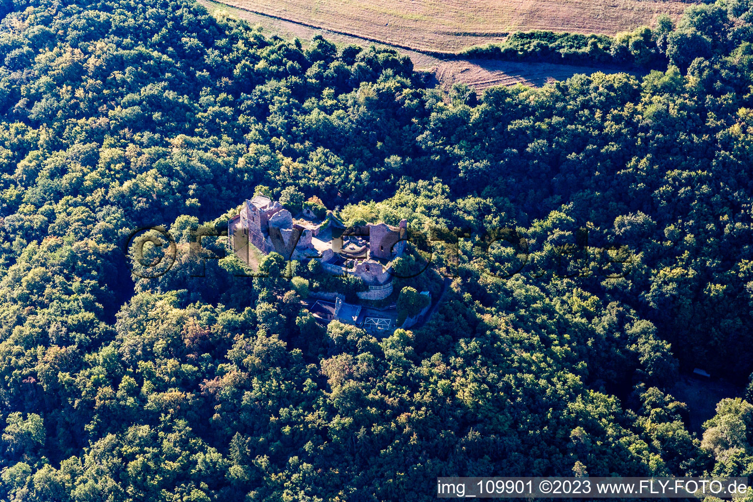 Photographie aérienne de Ruines du château de Montfort à Hallgarten dans le département Rhénanie-Palatinat, Allemagne