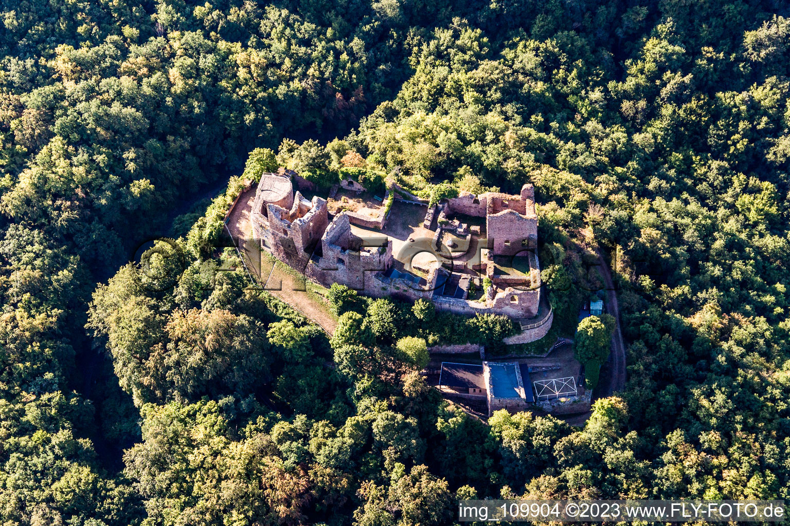 Vue oblique de Ruines du château de Montfort à Hallgarten dans le département Rhénanie-Palatinat, Allemagne