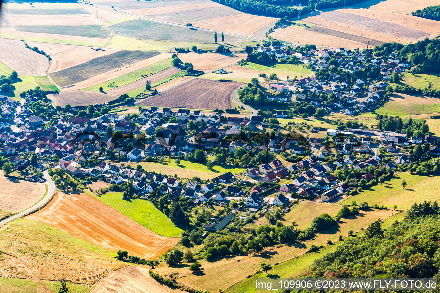 Vue aérienne de Hallgarten dans le département Rhénanie-Palatinat, Allemagne