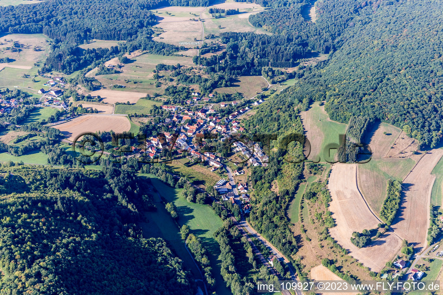 Mannweiler-Cölln dans le département Rhénanie-Palatinat, Allemagne d'en haut