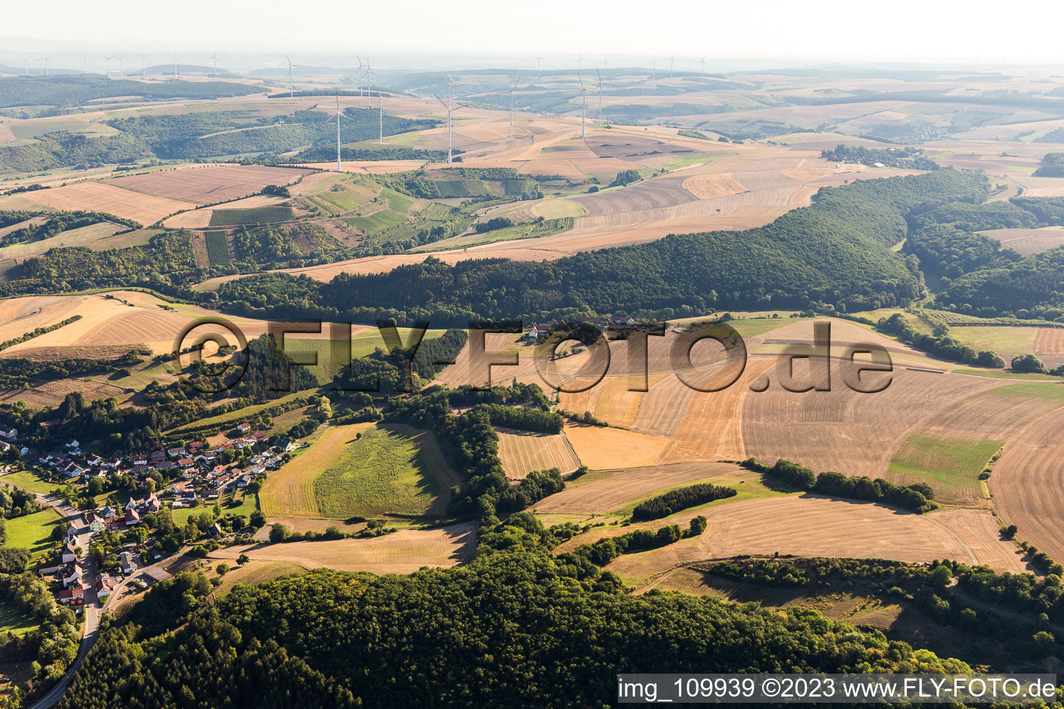 Mannweiler-Cölln dans le département Rhénanie-Palatinat, Allemagne d'un drone