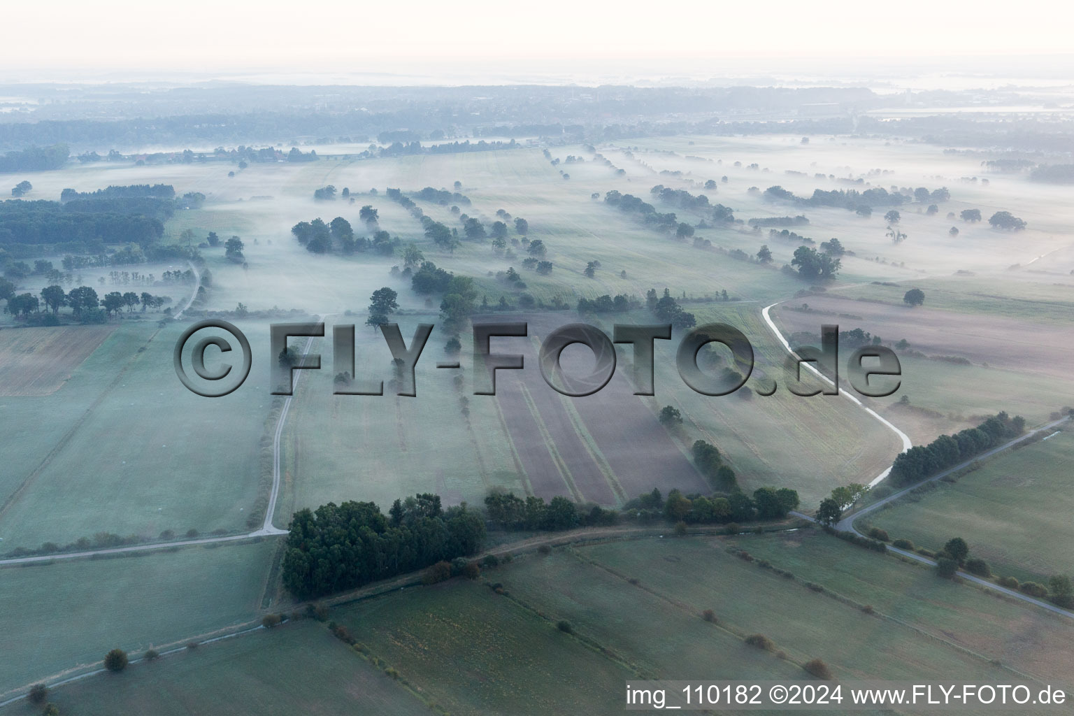 Vue aérienne de Brouillard matinal sur la plaine inondable de l'Elbe, près de Boizenburg à Echem dans le département Basse-Saxe, Allemagne