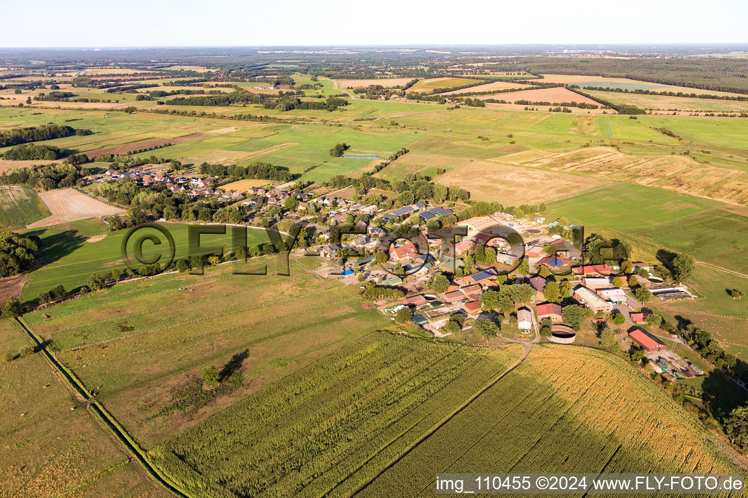 Vue aérienne de Lanze dans le département Schleswig-Holstein, Allemagne