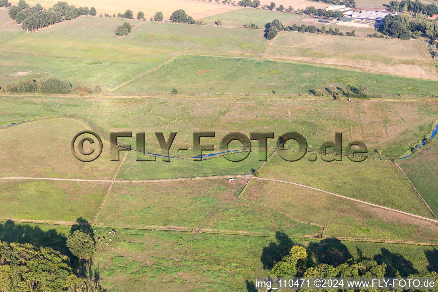 Photographie aérienne de Dalldorf dans le département Schleswig-Holstein, Allemagne