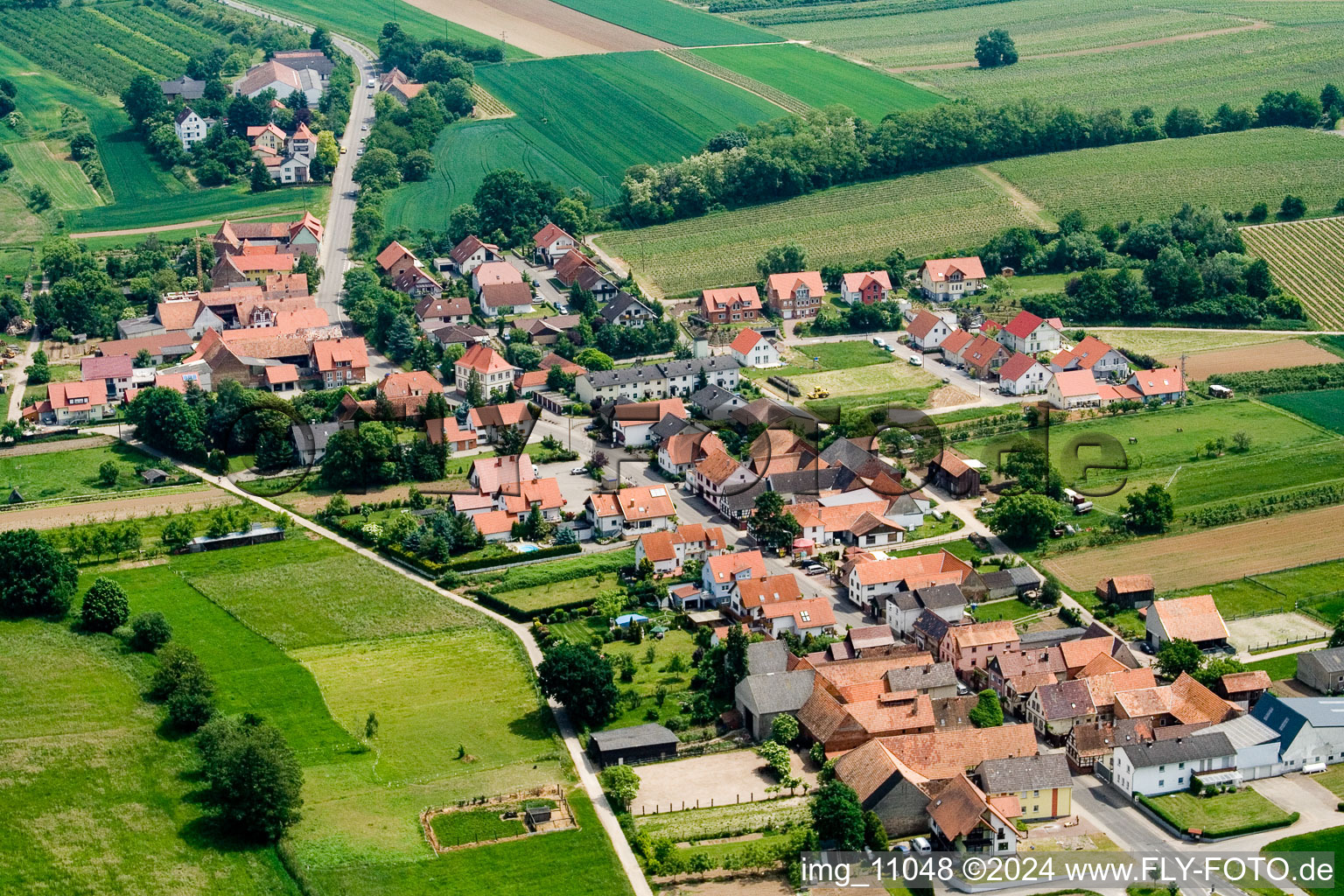 Vue aérienne de De l'ouest à Hergersweiler dans le département Rhénanie-Palatinat, Allemagne