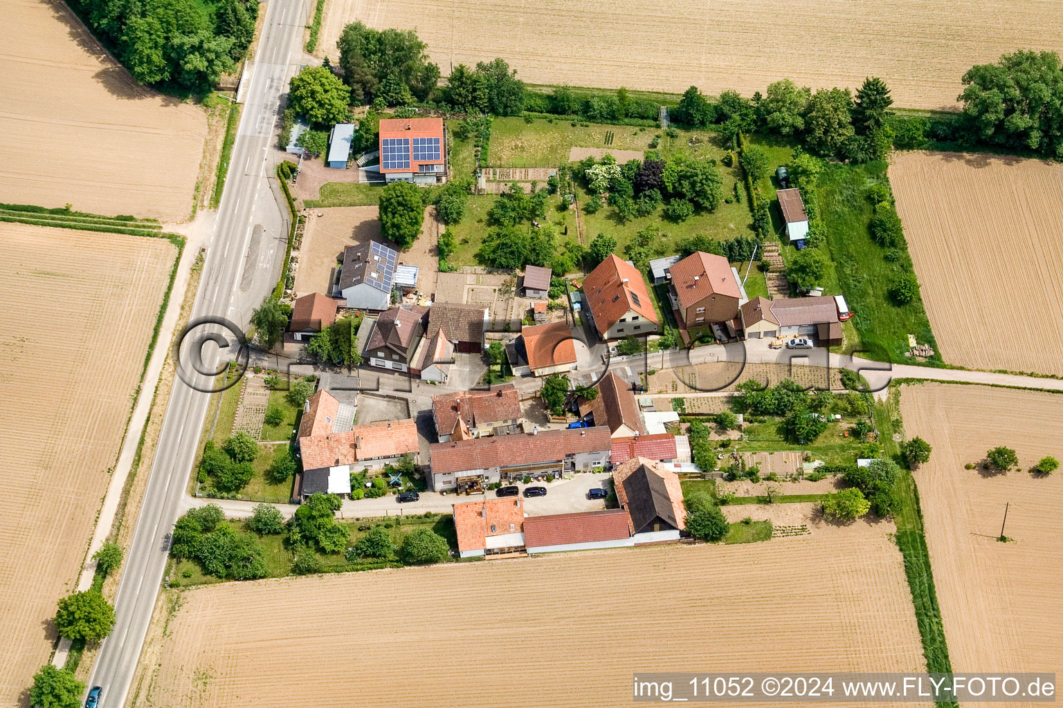 Vue aérienne de Welschhof de l'ouest à Minfeld dans le département Rhénanie-Palatinat, Allemagne