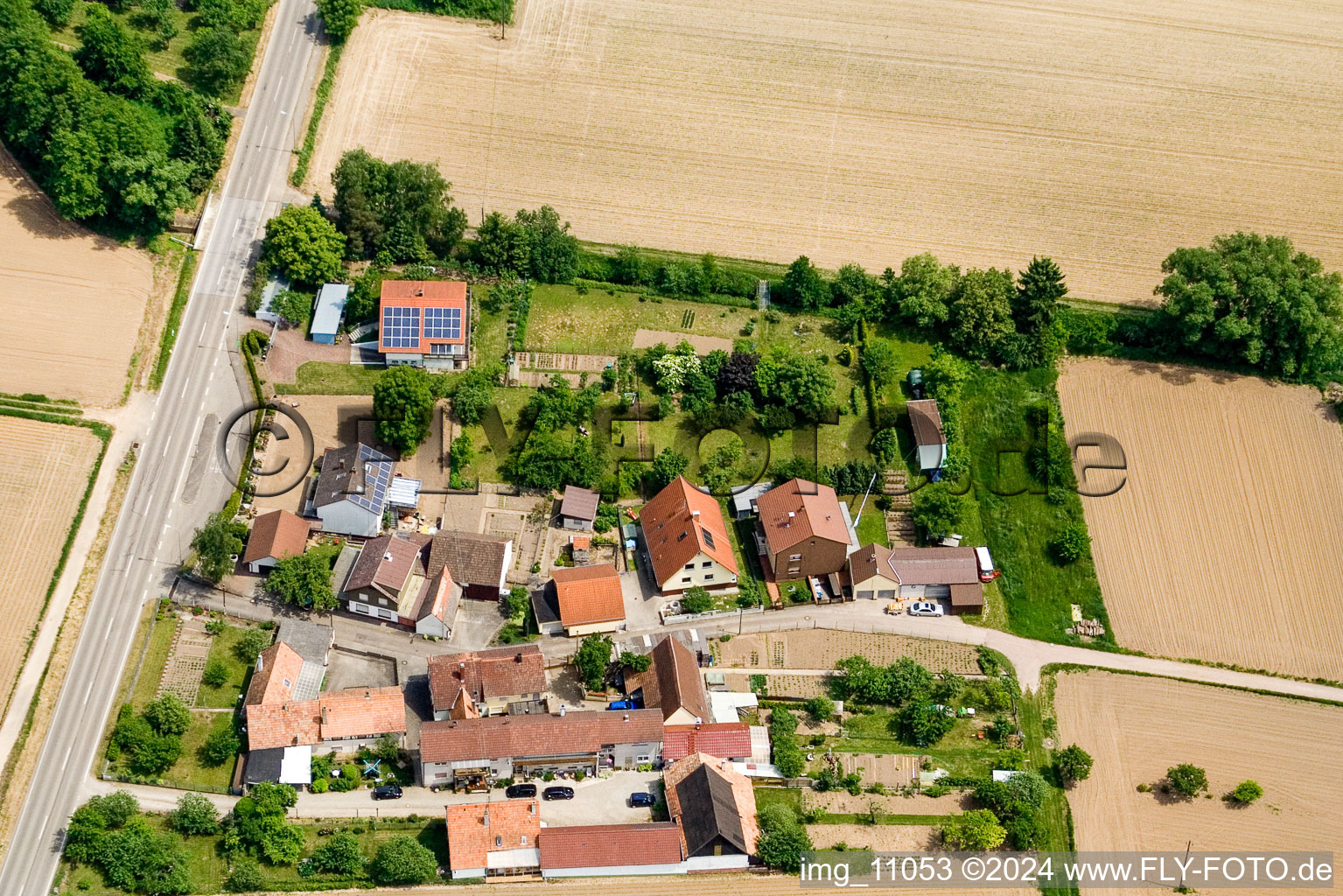 Vue aérienne de Welschhof de l'ouest à Minfeld dans le département Rhénanie-Palatinat, Allemagne