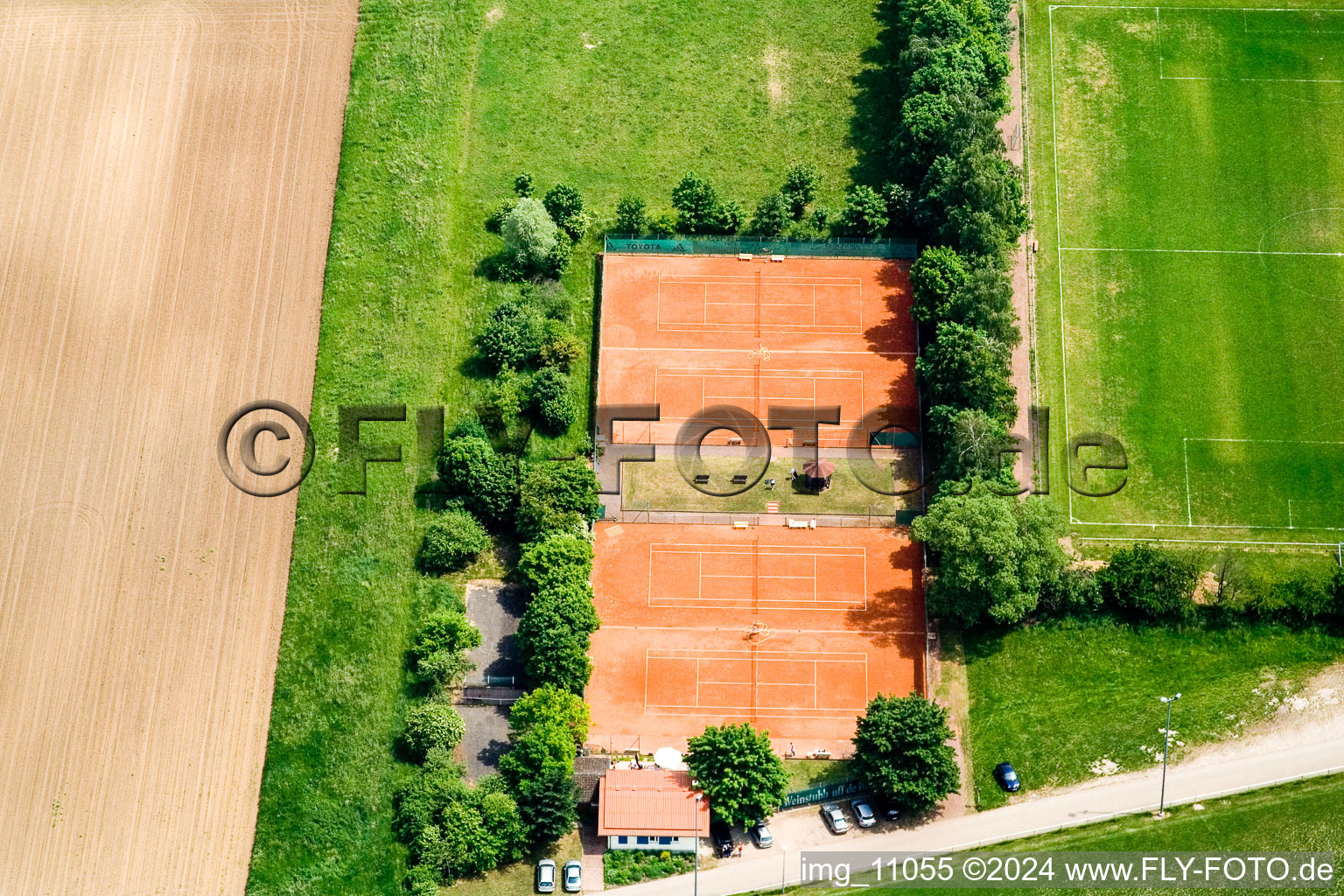 Vue aérienne de Club de tennis à Minfeld dans le département Rhénanie-Palatinat, Allemagne