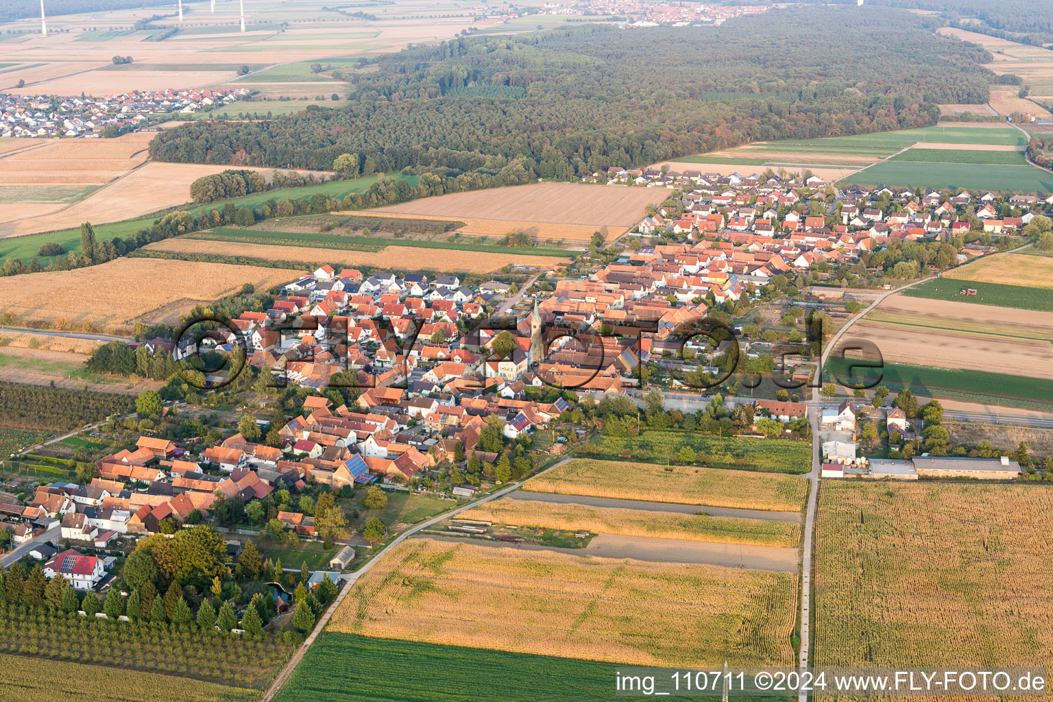 Du nord-est à Erlenbach bei Kandel dans le département Rhénanie-Palatinat, Allemagne d'en haut