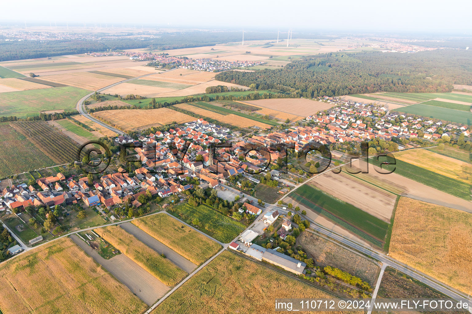 Du nord-est à Erlenbach bei Kandel dans le département Rhénanie-Palatinat, Allemagne hors des airs