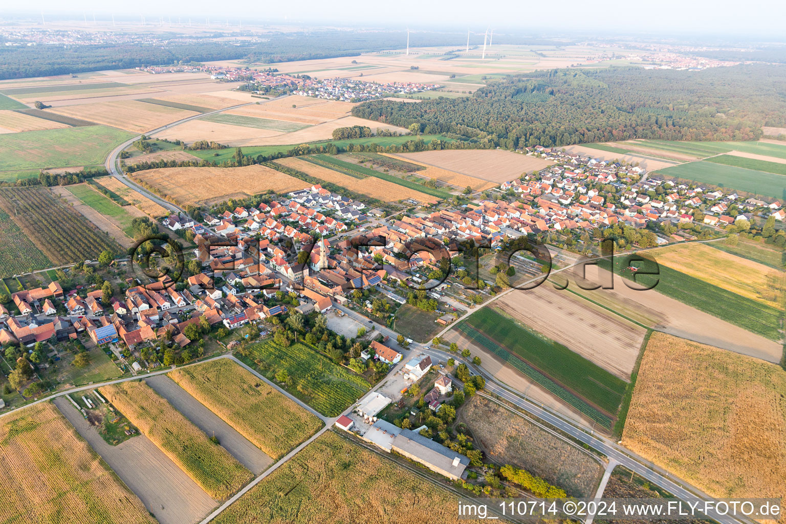 Du nord-est à Erlenbach bei Kandel dans le département Rhénanie-Palatinat, Allemagne vue d'en haut