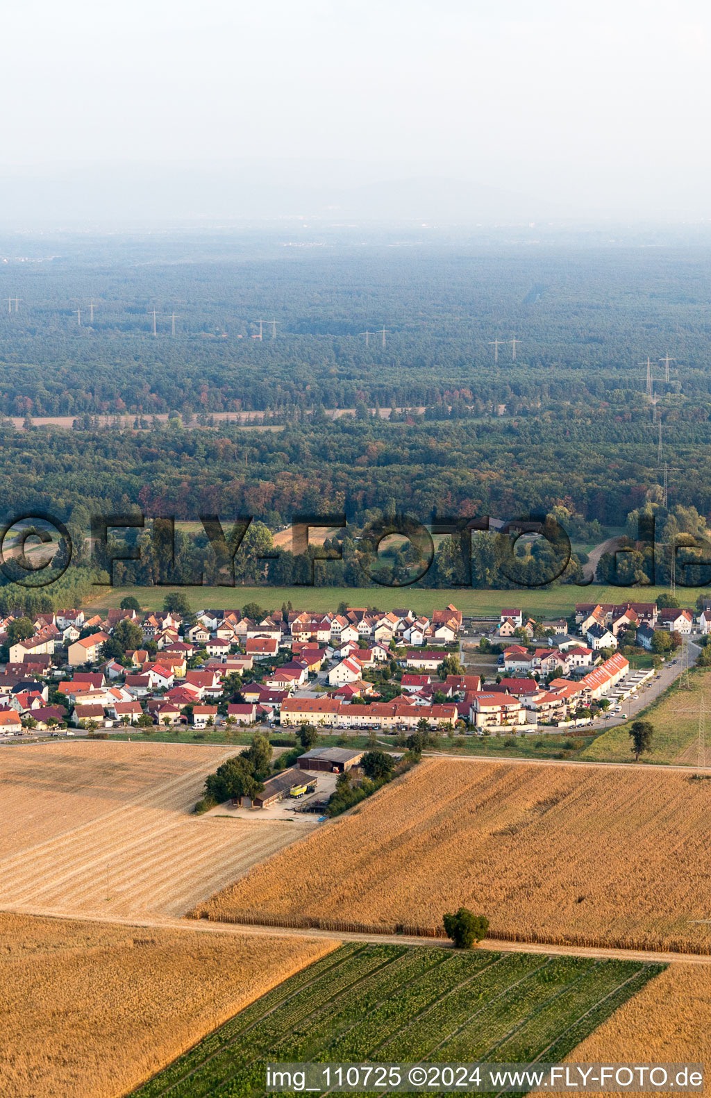 Vue d'oiseau de Kandel dans le département Rhénanie-Palatinat, Allemagne