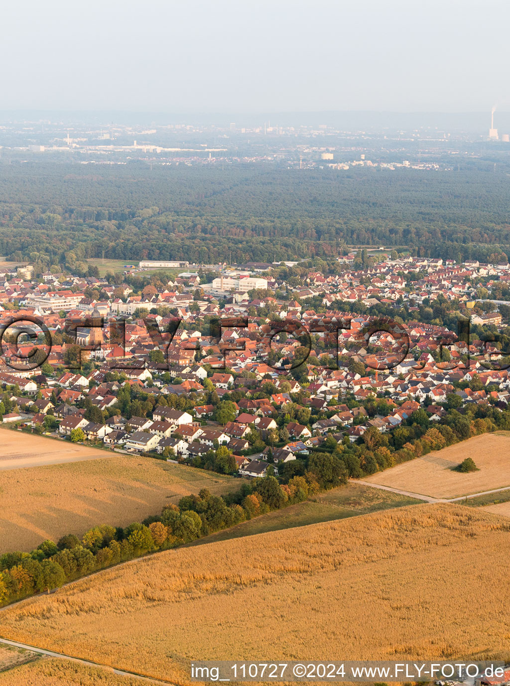 Enregistrement par drone de Kandel dans le département Rhénanie-Palatinat, Allemagne