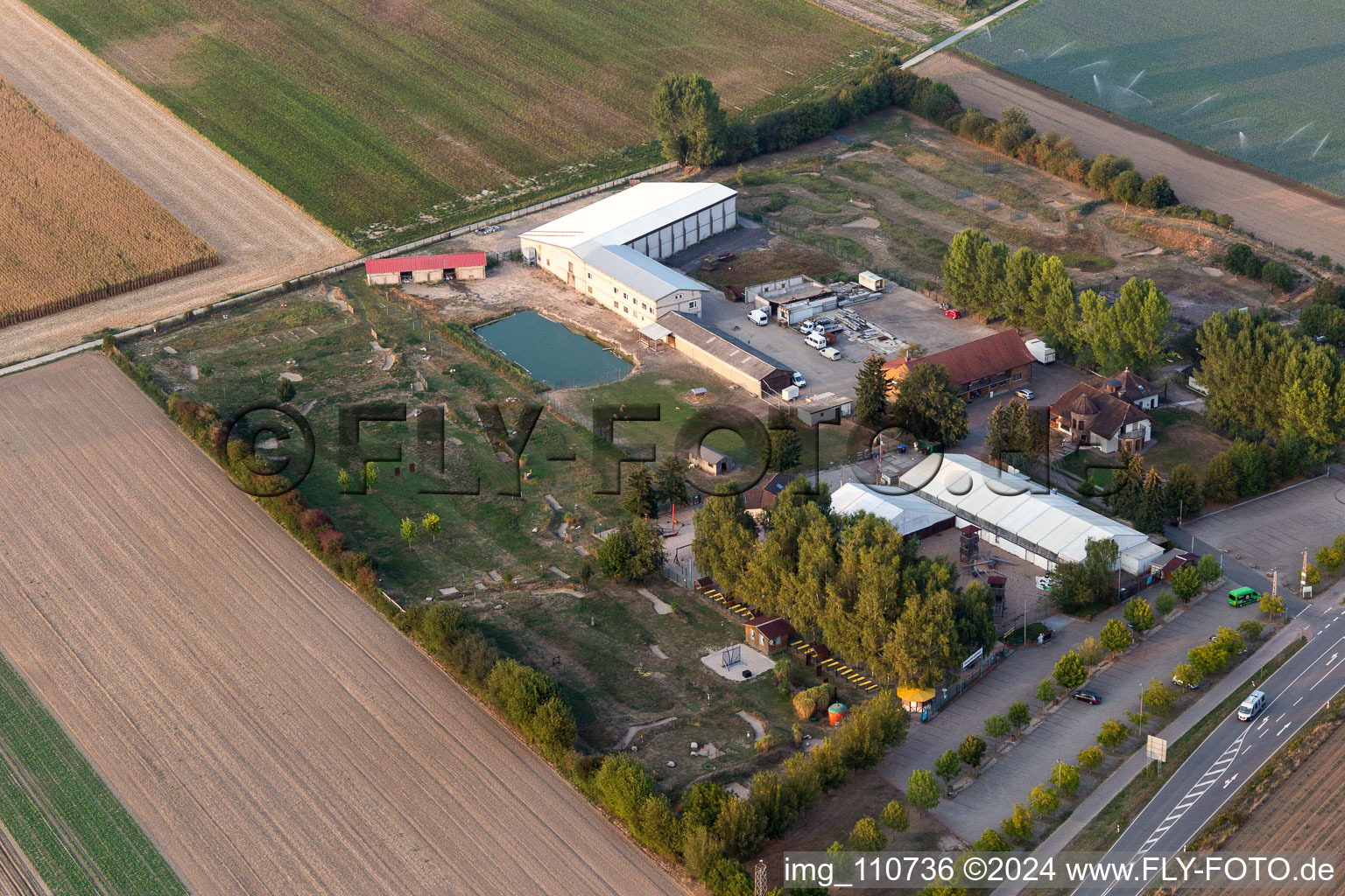 Vue aérienne de Terrain de golf à pied à Adamshof à Kandel dans le département Rhénanie-Palatinat, Allemagne