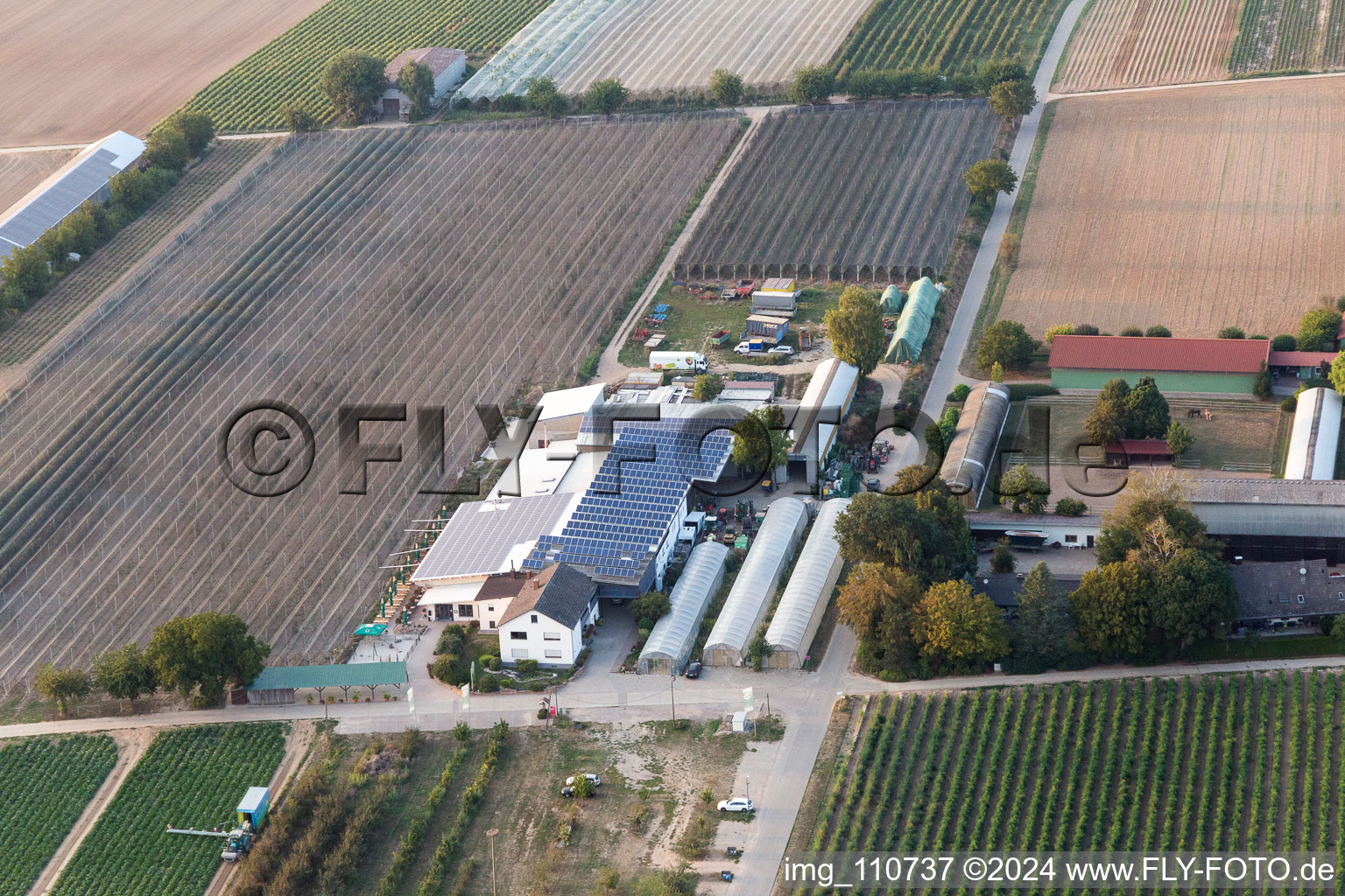 Vue aérienne de Hofcafée Zapf à Kandel dans le département Rhénanie-Palatinat, Allemagne