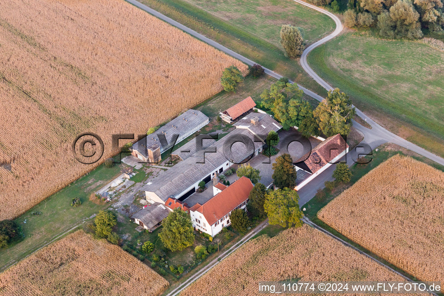 Vue aérienne de Hofgut Ludwigsau à le quartier Maximiliansau in Wörth am Rhein dans le département Rhénanie-Palatinat, Allemagne