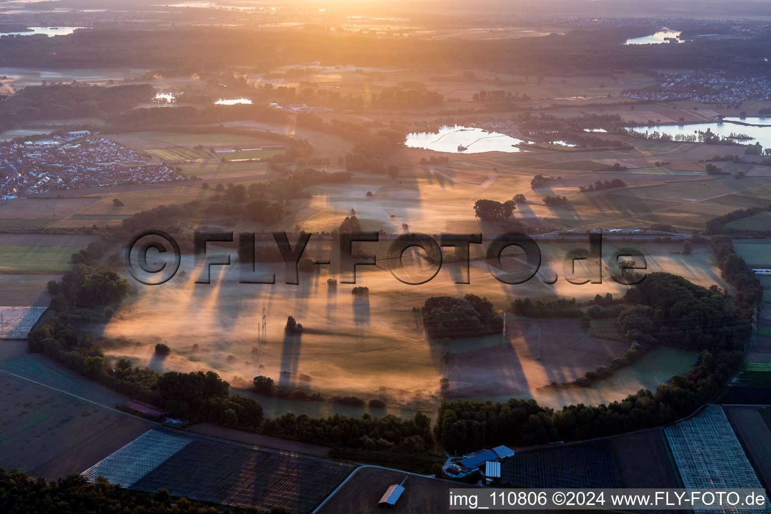 Vue aérienne de Prairies du Rhin dans la brume matinale près de Kuhhardt à Rülzheim dans le département Rhénanie-Palatinat, Allemagne