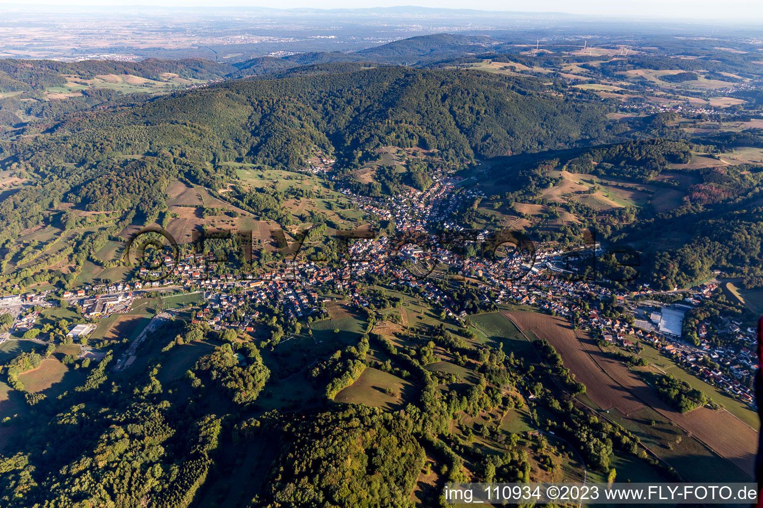 Vue aérienne de Quartier Reichenbach in Lautertal dans le département Hesse, Allemagne