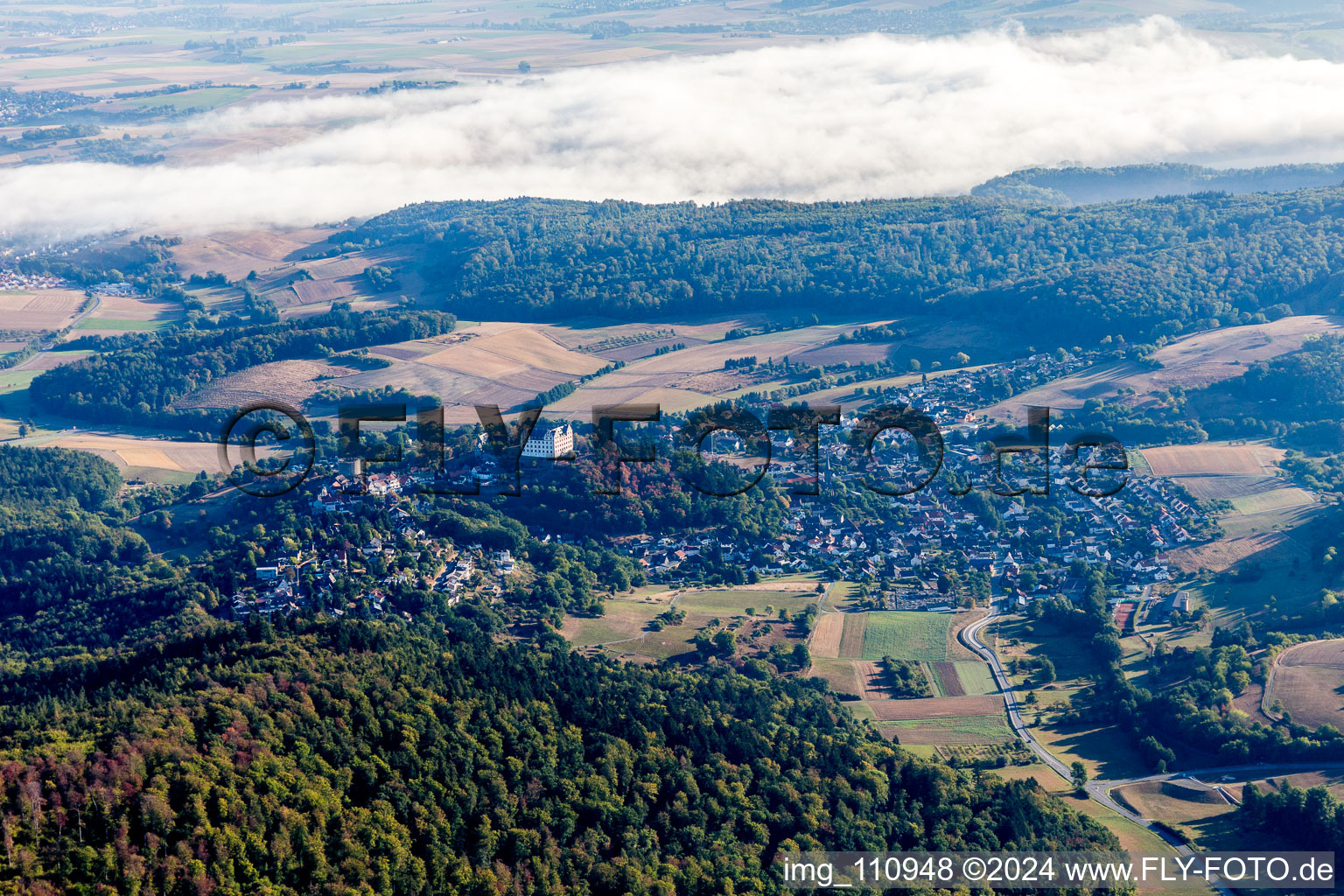 Vue aérienne de Château de Lichtenberg à le quartier Niedernhausen in Fischbachtal dans le département Hesse, Allemagne