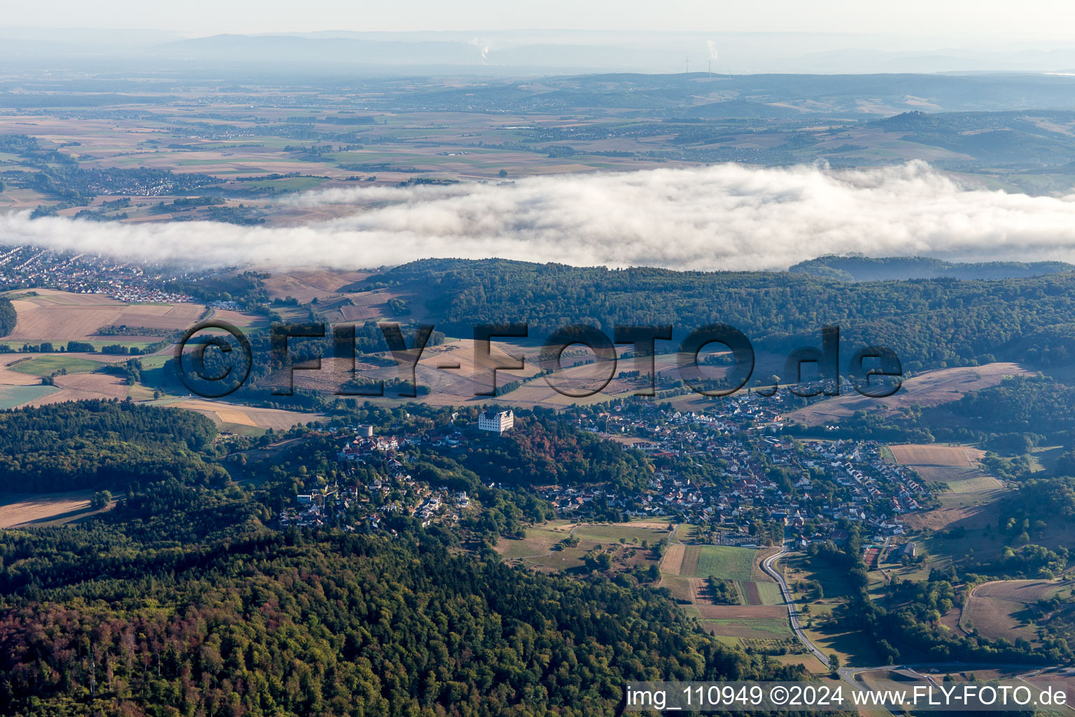 Vue aérienne de Château de Lichtenberg à le quartier Niedernhausen in Fischbachtal dans le département Hesse, Allemagne