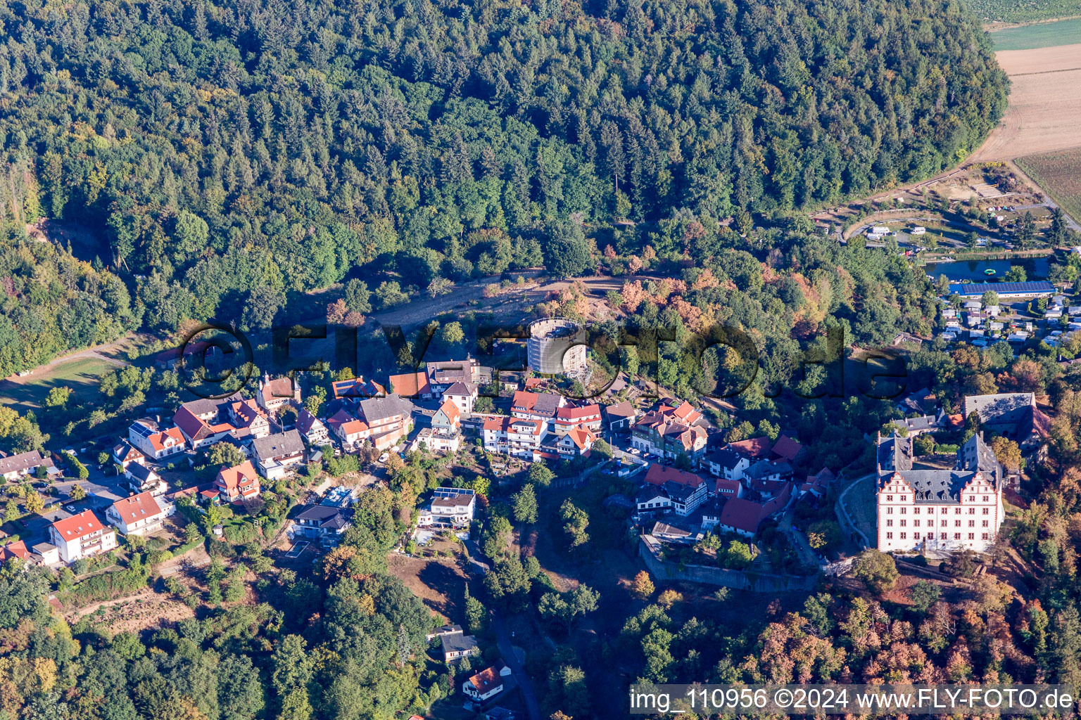 Vue d'oiseau de Château de Lichtenberg à le quartier Niedernhausen in Fischbachtal dans le département Hesse, Allemagne