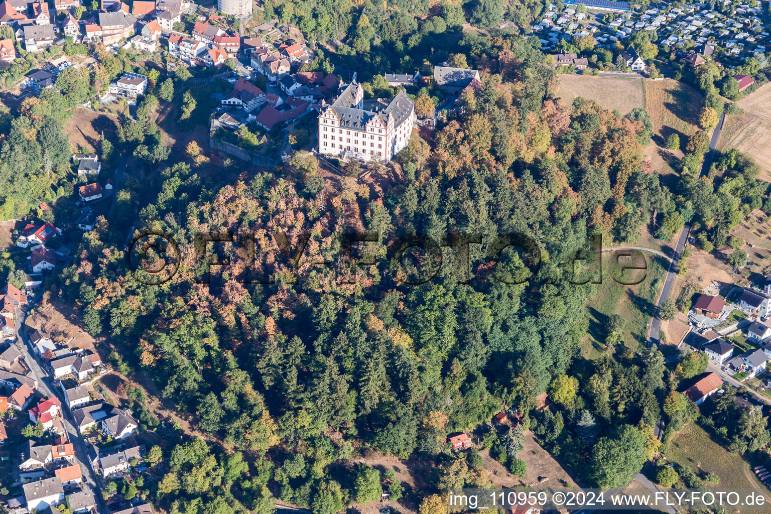 Image drone de Château de Lichtenberg à le quartier Niedernhausen in Fischbachtal dans le département Hesse, Allemagne