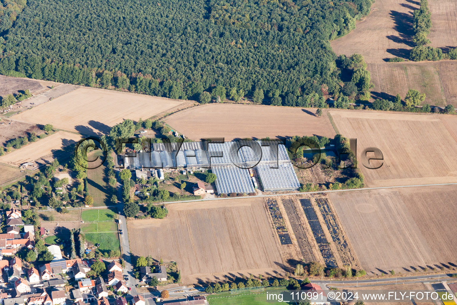 Vue aérienne de Jörg Wolter Pépinière des Gorges de l'Ute à le quartier Hergershausen in Babenhausen dans le département Hesse, Allemagne