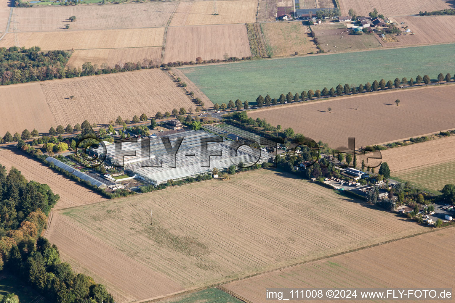 Vue aérienne de Crèche de Löwen à Seligenstadt dans le département Hesse, Allemagne