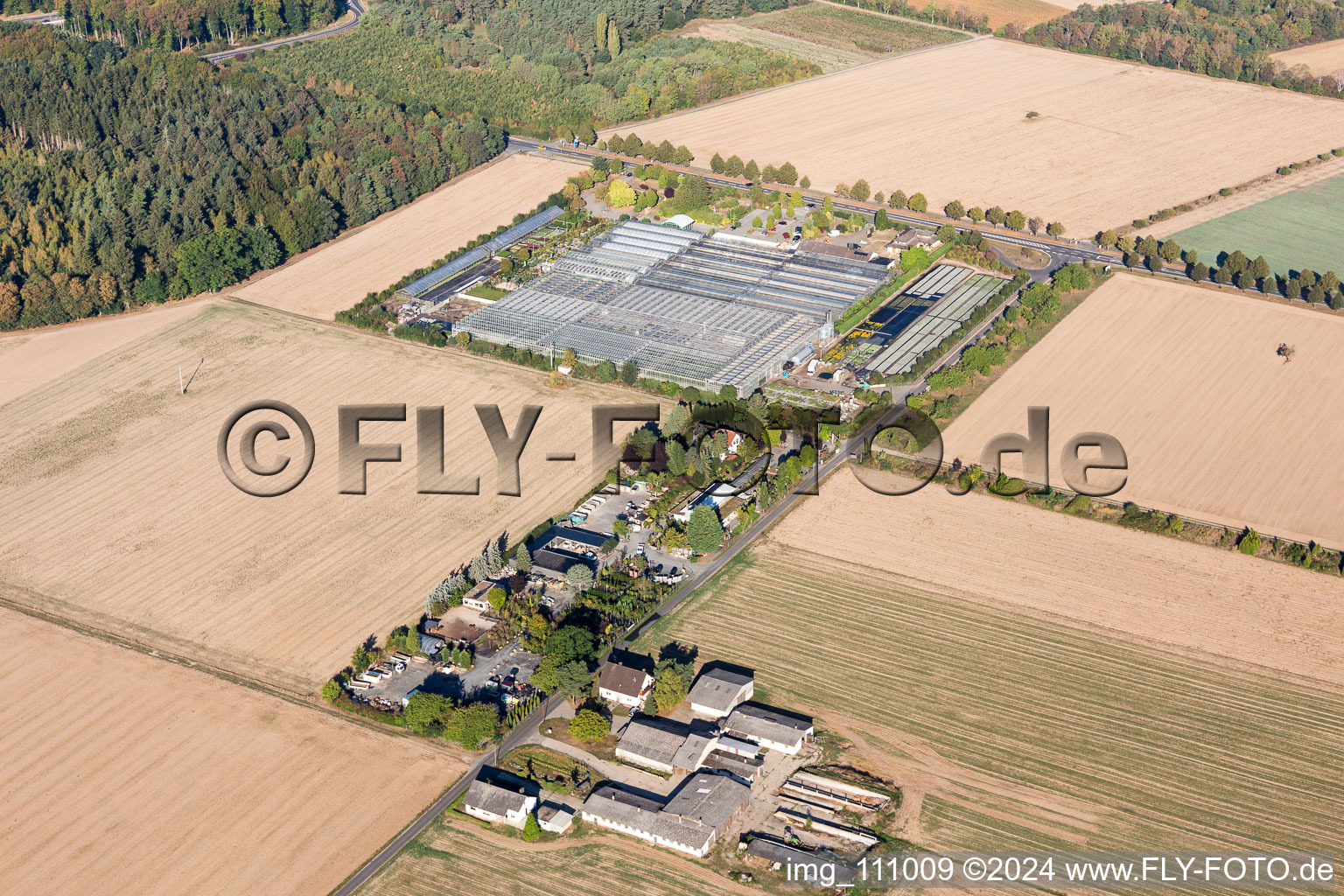 Enregistrement par drone de Seligenstadt dans le département Hesse, Allemagne