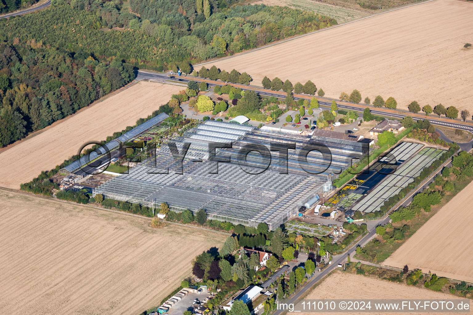 Image drone de Seligenstadt dans le département Hesse, Allemagne