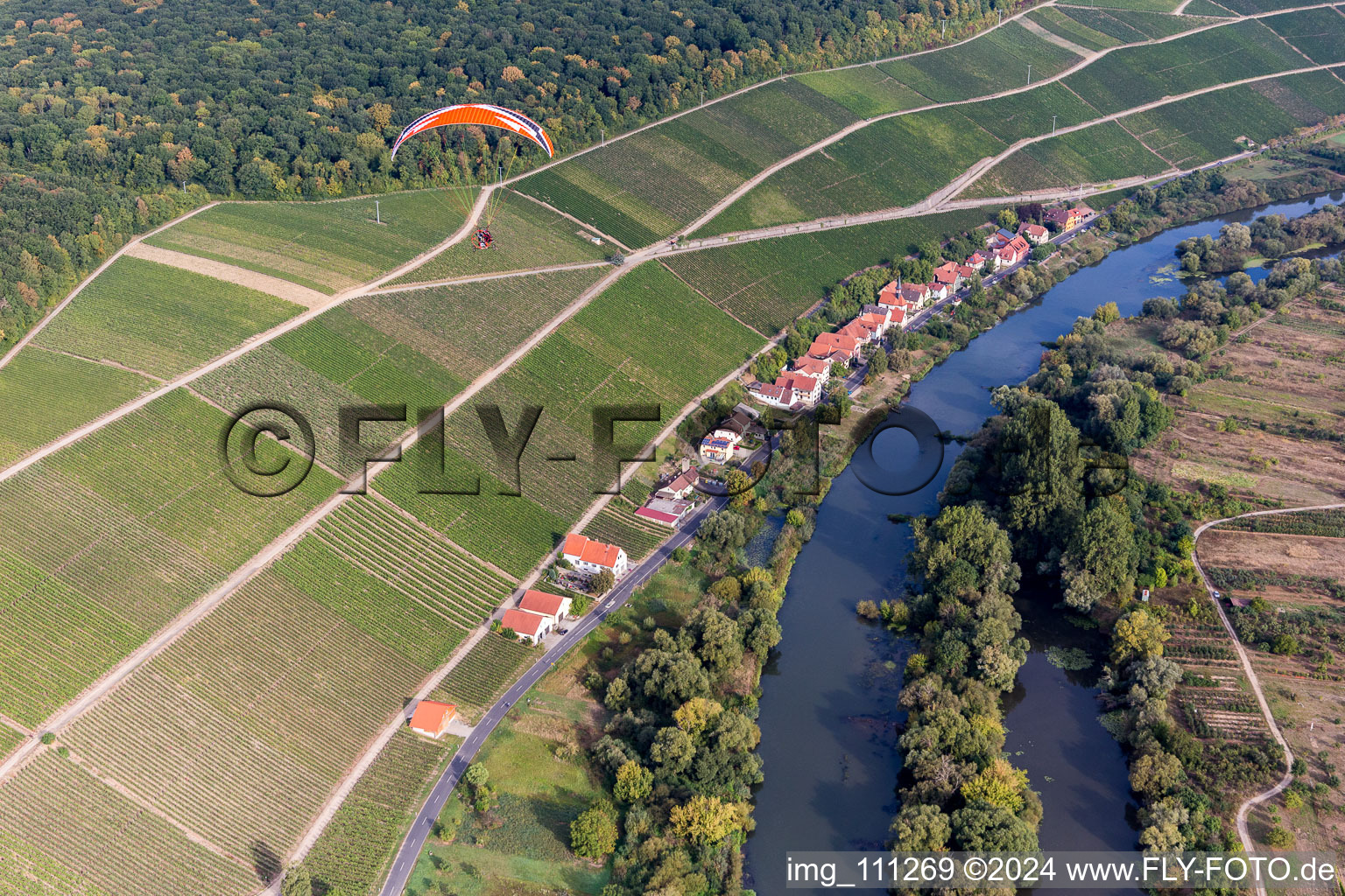 Vue aérienne de Vignobles sur la Main à Köhler à le quartier Köhler in Volkach dans le département Bavière, Allemagne