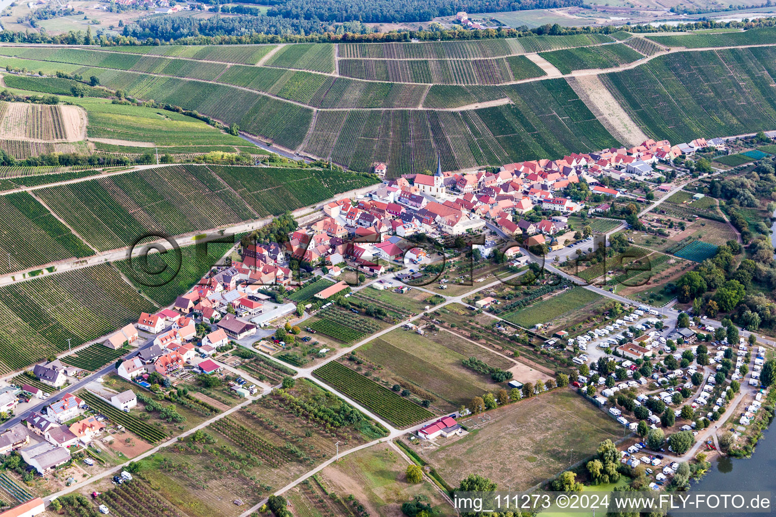 Vue oblique de Quartier Escherndorf in Volkach dans le département Bavière, Allemagne