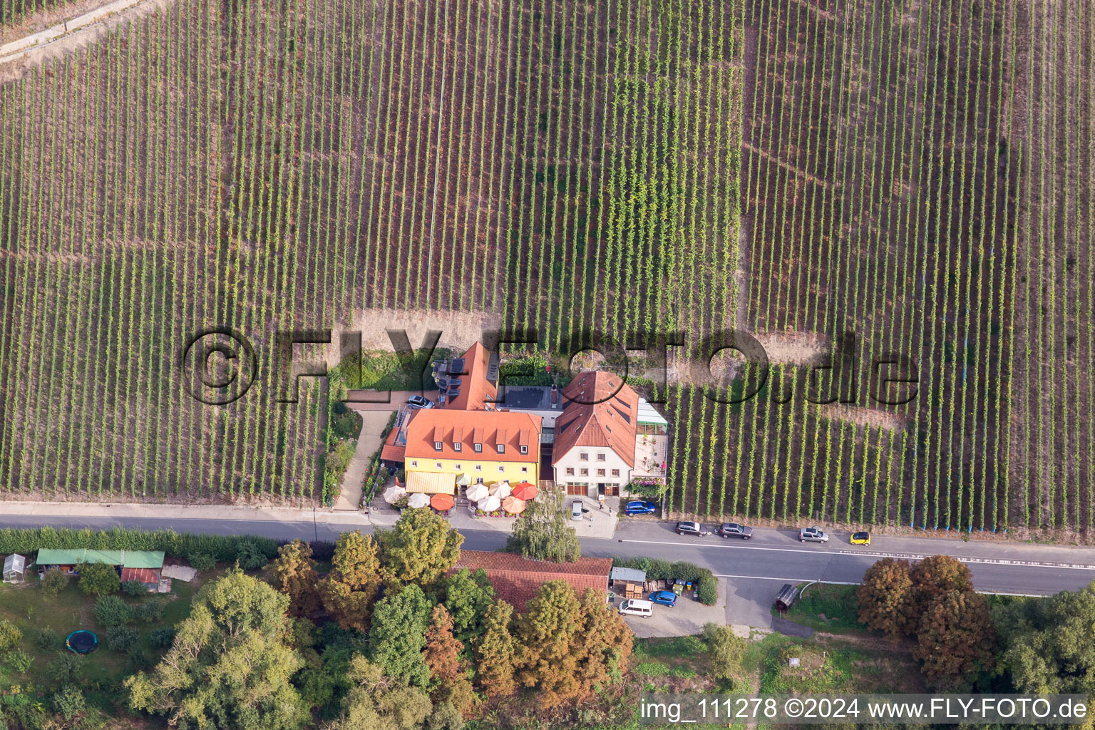 Vue aérienne de Restaurant en plein air Gasthaus Mainblick "Gifthütte à le quartier Escherndorf in Volkach dans le département Bavière, Allemagne