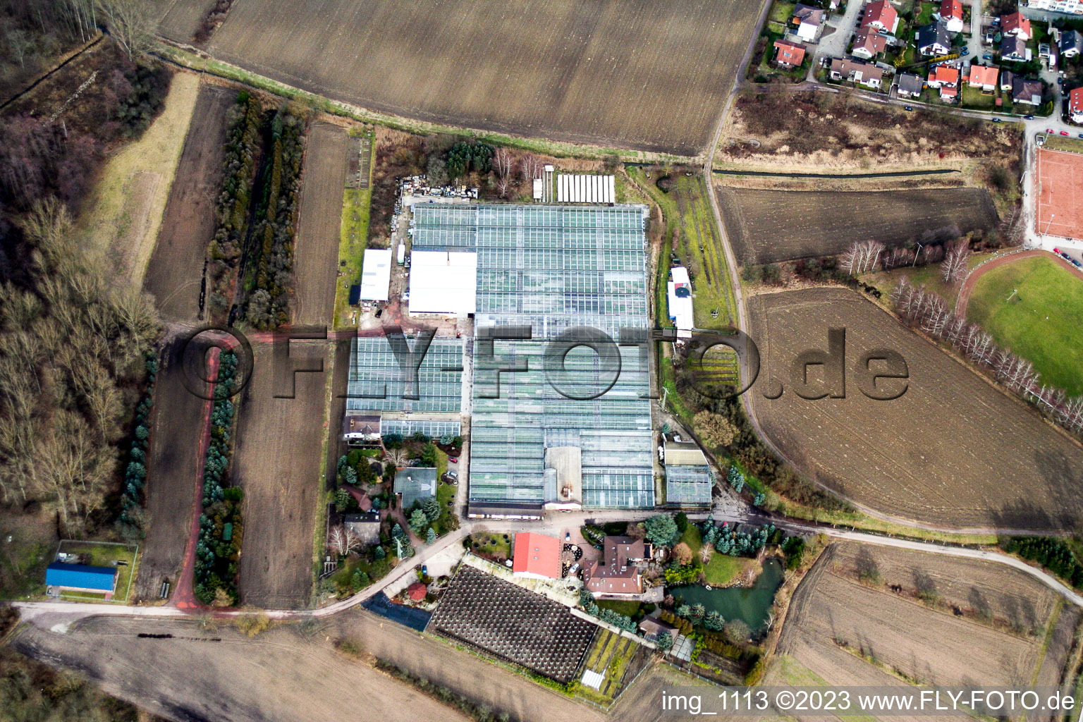 Vue aérienne de Jardinage de géraniums à Hagenbach dans le département Rhénanie-Palatinat, Allemagne