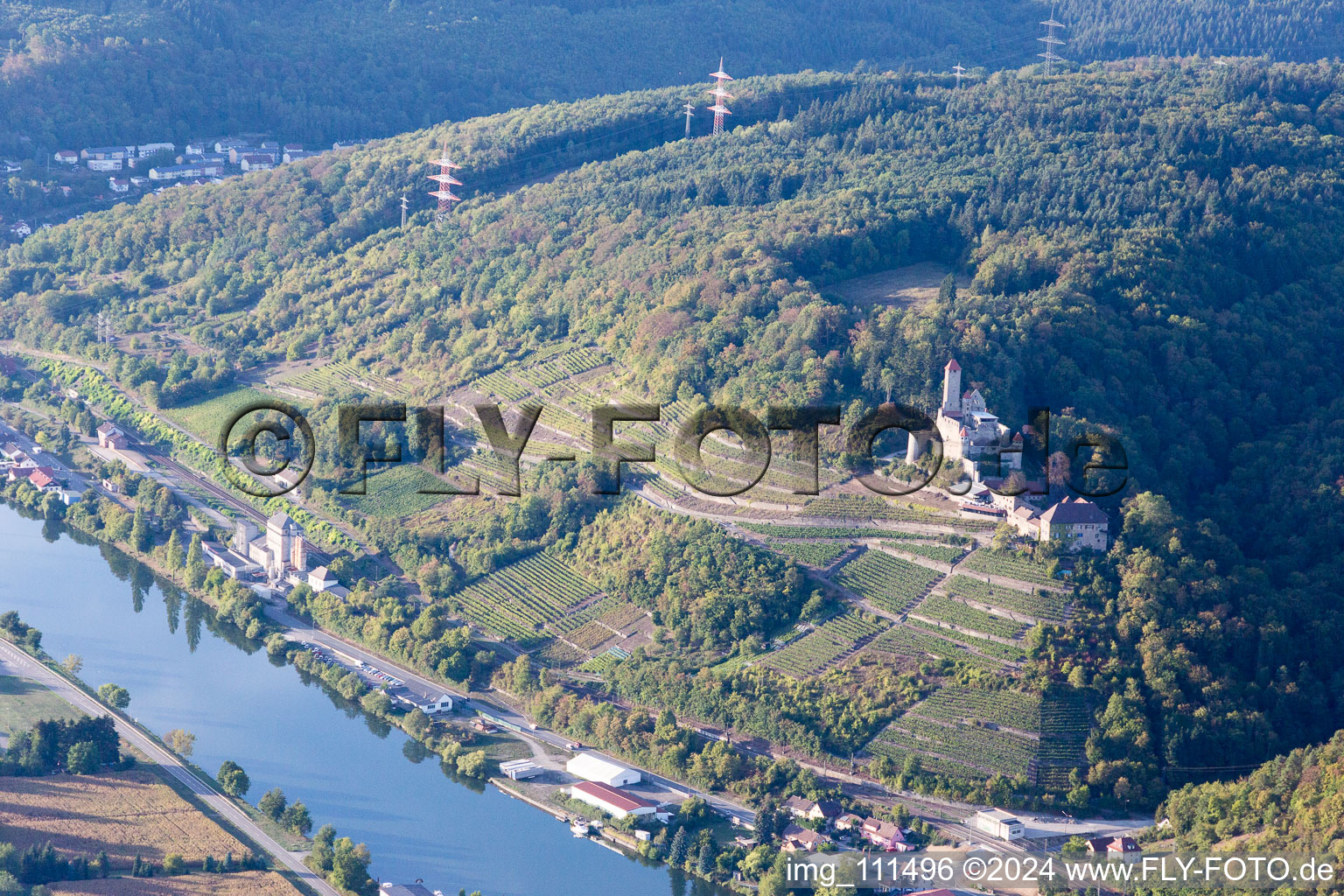 Vue aérienne de Château de Hornberg à Neckarzimmern dans le département Bade-Wurtemberg, Allemagne