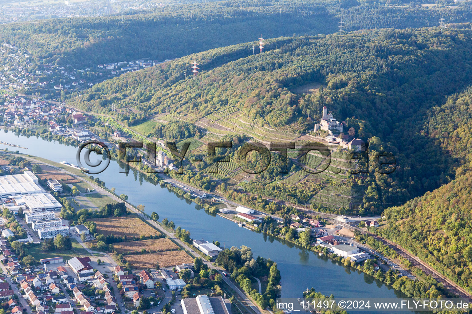 Vue aérienne de Château de Hornberg à Neckarzimmern dans le département Bade-Wurtemberg, Allemagne