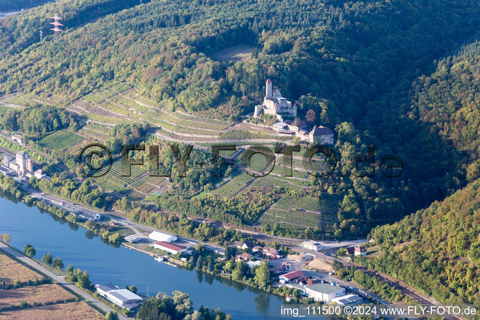 Vue oblique de Château de Hornberg à Neckarzimmern dans le département Bade-Wurtemberg, Allemagne