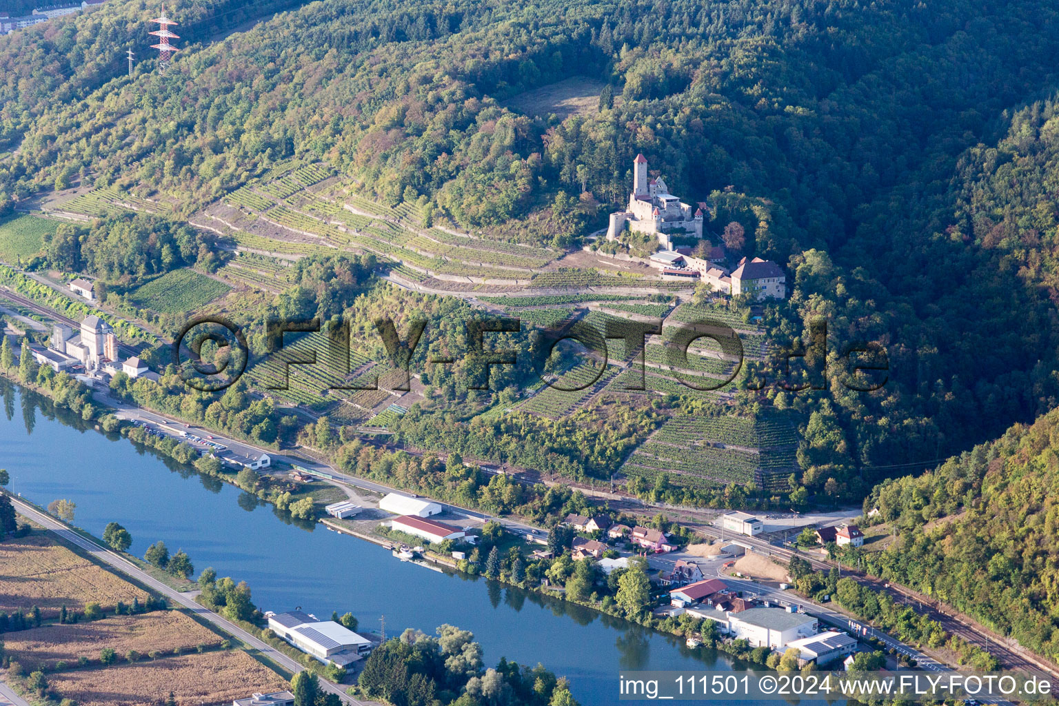 Château de Hornberg à Neckarzimmern dans le département Bade-Wurtemberg, Allemagne d'en haut