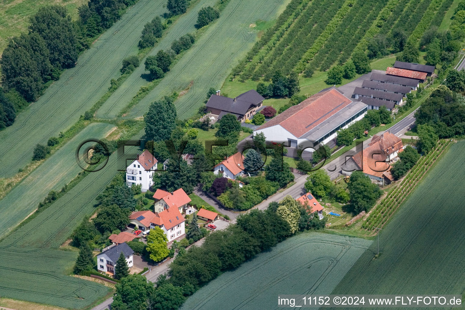 Hergersweiler dans le département Rhénanie-Palatinat, Allemagne vue du ciel