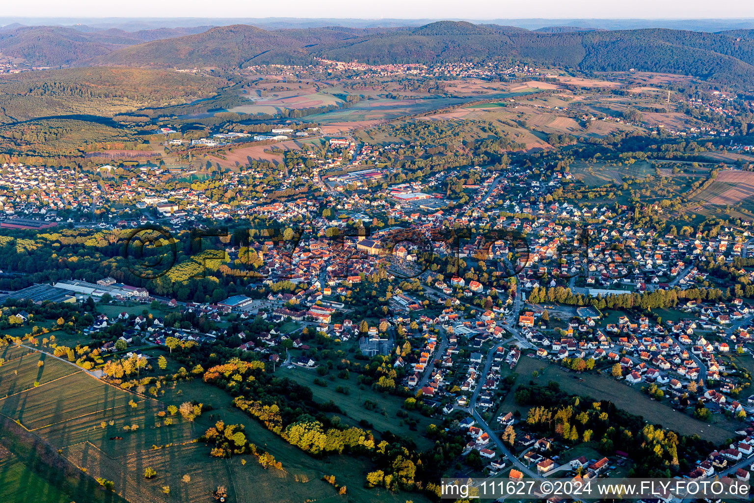 Vue aérienne de Vue des rues et des maisons des quartiers résidentiels à Reichshoffen dans le département Bas Rhin, France