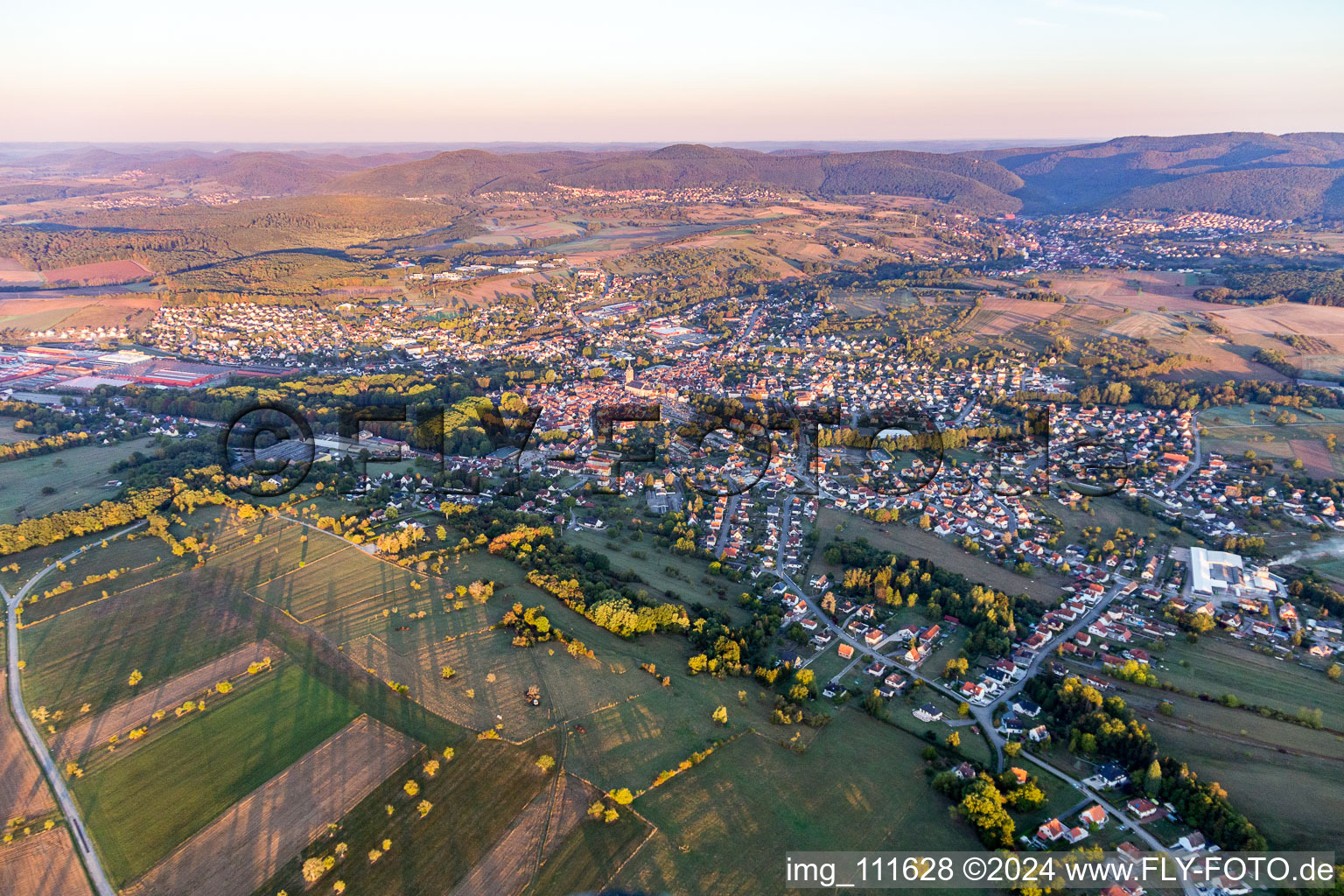 Vue aérienne de Vue des rues et des maisons des quartiers résidentiels à Reichshoffen dans le département Bas Rhin, France