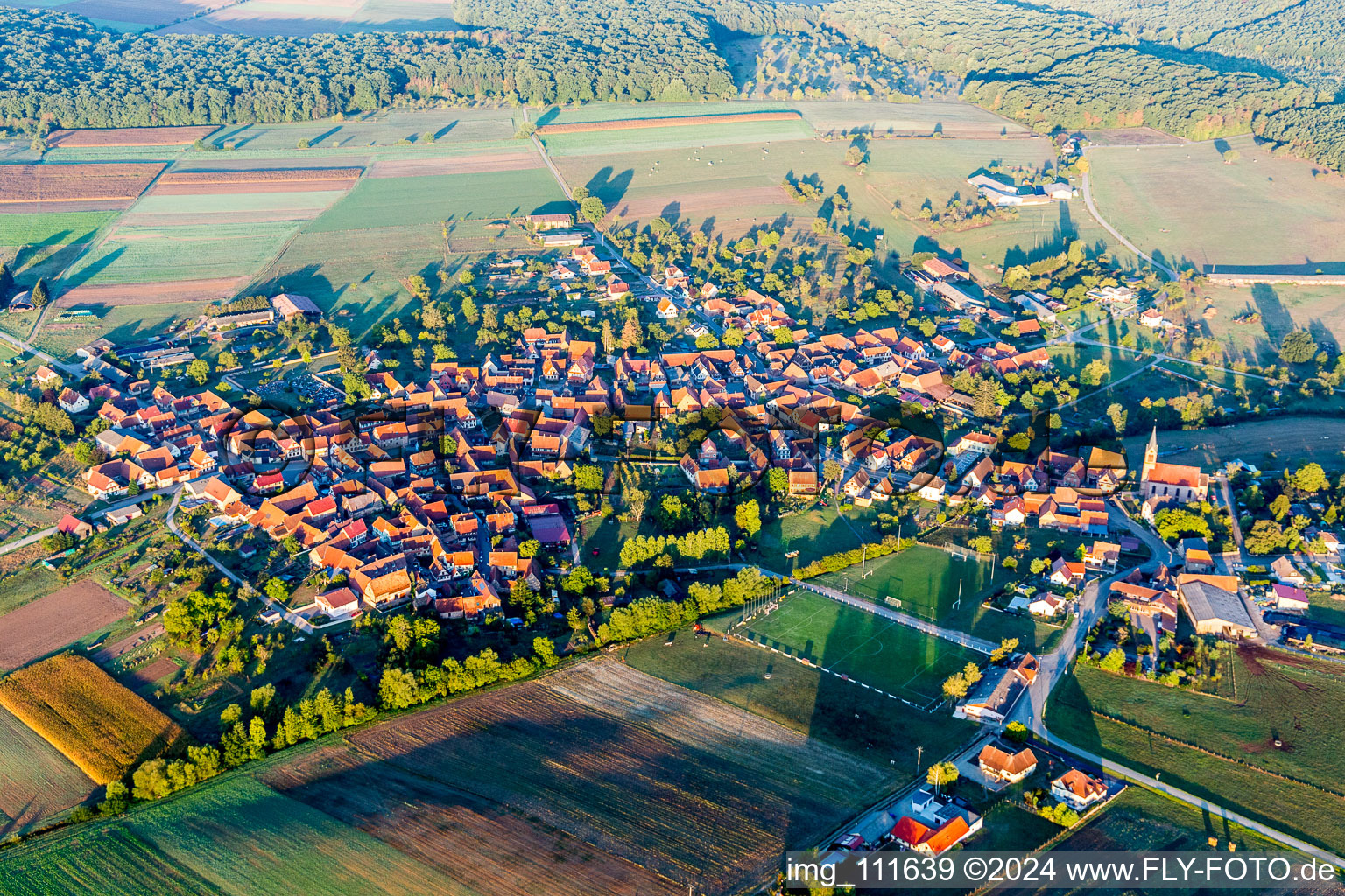 Photographie aérienne de Schillersdorf dans le département Bas Rhin, France